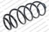 LESJ?FORS 4095857 Coil Spring